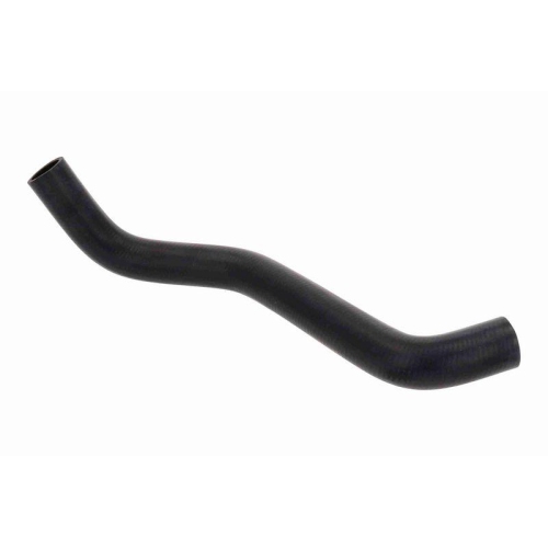 ACKOJA A64-1601 K&uuml;hlerschlauch Original ACKOJA Qualit&auml;t f&uuml;r SUZUKI, unten