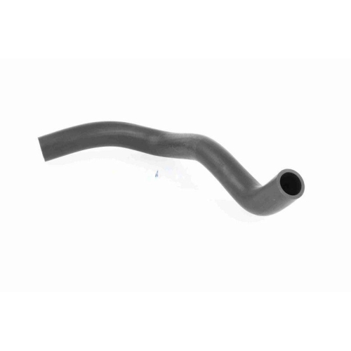 ACKOJA A64-1603 K&uuml;hlerschlauch Original ACKOJA Qualit&auml;t f&uuml;r SUZUKI, oben