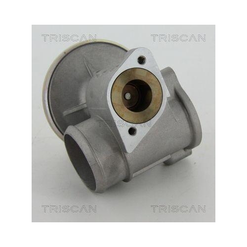 AGR-Ventil TRISCAN 8813 16010 f&uuml;r FORD