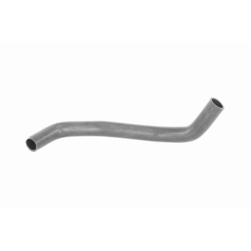 ACKOJA A64-1604 K&uuml;hlerschlauch Original ACKOJA Qualit&auml;t f&uuml;r SUZUKI, unten