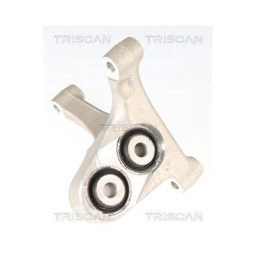 TRISCAN 8505 81101 Lagerung, Motor f&uuml;r TESLA, vorne