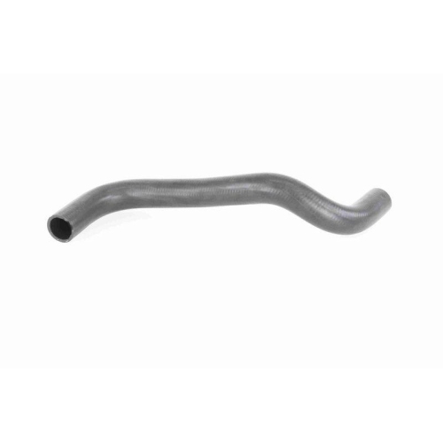 ACKOJA A64-1605 K&uuml;hlerschlauch Original ACKOJA Qualit&auml;t f&uuml;r SUZUKI, unten
