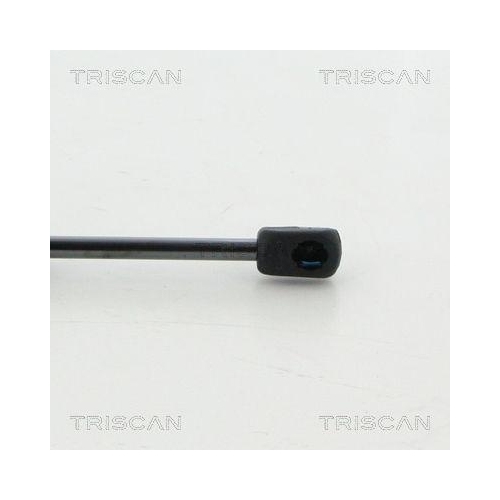 Gasfeder, Koffer-/Laderaum TRISCAN 8710 29204 für AUDI, hinten links