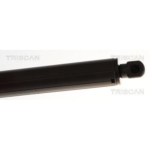 TRISCAN 8710 16281 Gasfeder, Koffer-/Laderaum f&uuml;r FORD, rechts
