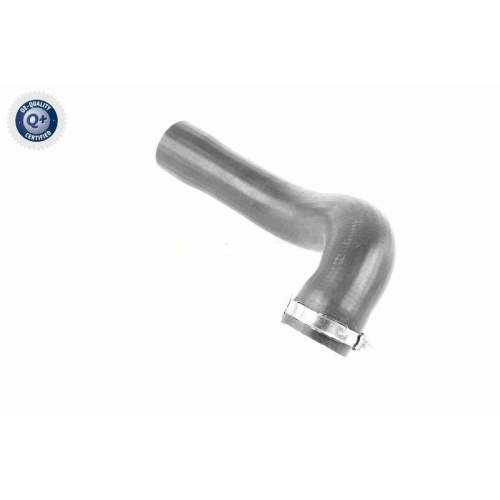 Ladeluftschlauch VAICO V40-1508 Q+, Erstausrüsterqualität für OPEL