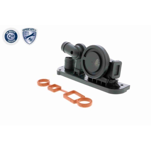 Reparatursatz, Kurbelgeh&auml;useentl&uuml;ftung VAICO V10-6458 EXPERT KITS + f&uuml;r AUDI VW
