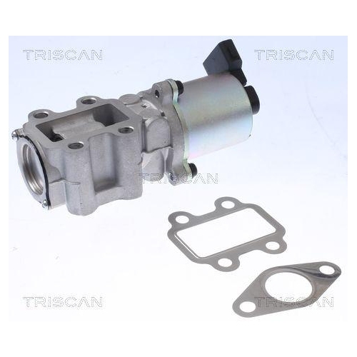 AGR-Ventil TRISCAN 8813 13100 f&uuml;r TOYOTA
