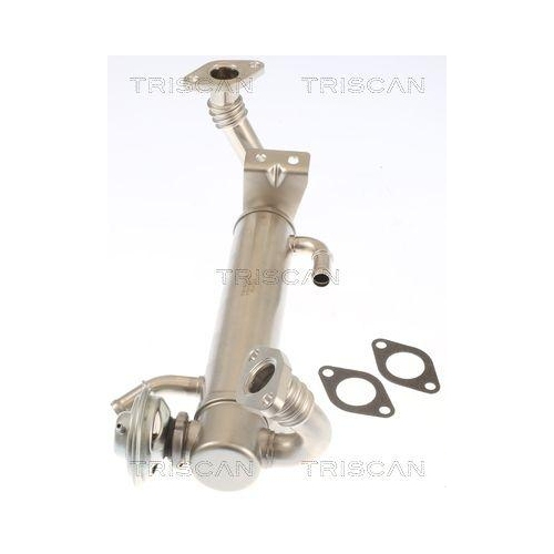 AGR-Ventil TRISCAN 8813 15074 f&uuml;r IVECO