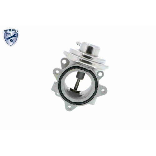 AGR-Ventil VEMO V10-63-0031 EXPERT KITS + f&uuml;r AUDI SEAT SKODA VW VAG