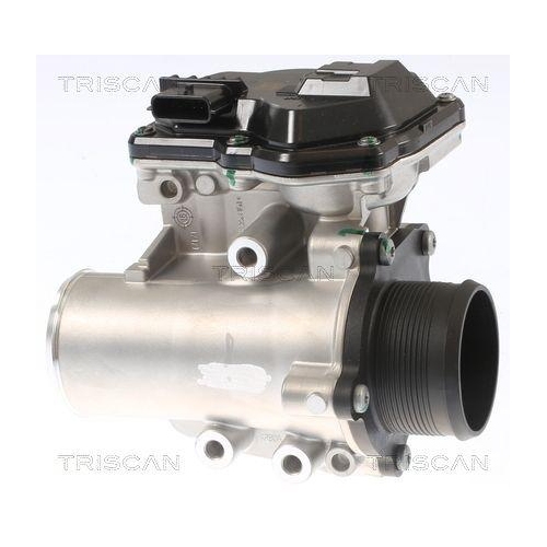 AGR-Ventil TRISCAN 8813 16002 f&uuml;r FORD FORD USA