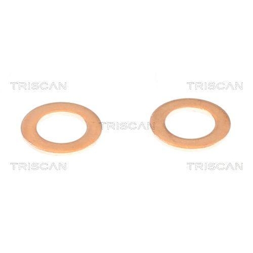 Bremsschlauch TRISCAN 8150 432016 f&uuml;r HYUNDAI KIA, Hinterachse rechts