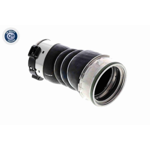 Ladeluftschlauch VAICO V20-3656 Q+, Erstausr&uuml;sterqualit&auml;t f&uuml;r BMW