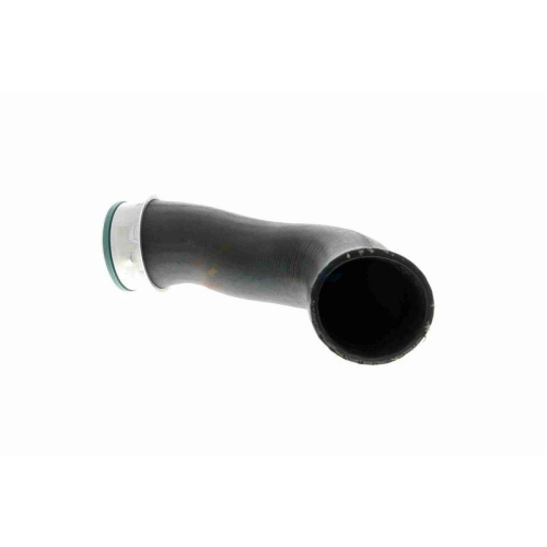 Ladeluftschlauch VAICO V10-3816 Q+, Erstausrüsterqualität für AUDI SEAT SKODA VW