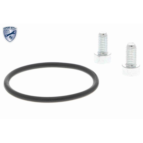 Stellelement, Feststellbremse Bremssattel VEMO V10-77-1062 EXPERT KITS + f&uuml;r VW