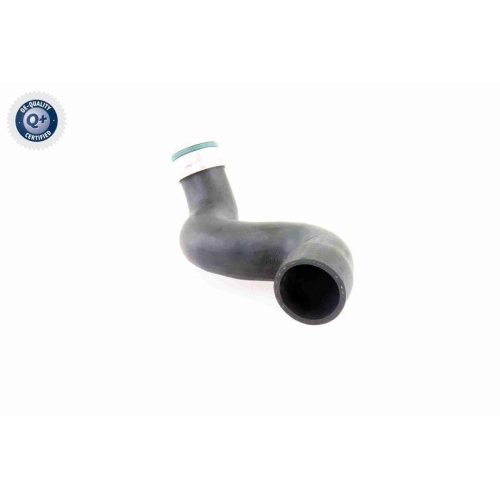 Ladeluftschlauch VAICO V10-3825 Q+, Erstausrüsterqualität für AUDI SEAT SKODA VW
