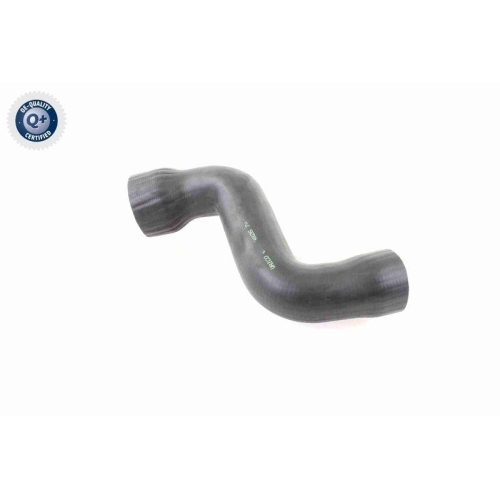 Ladeluftschlauch VAICO V10-3826 Q+, Erstausr&uuml;sterqualit&auml;t f&uuml;r AUDI SEAT SKODA VW