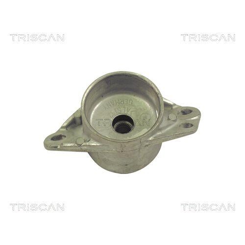 Federbeinst&uuml;tzlager TRISCAN 8500 29906 f&uuml;r AUDI SEAT SKODA VW, Hinterachse