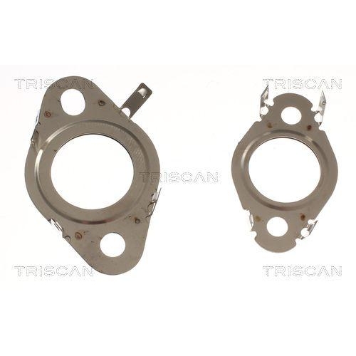 Rohrleitung, AGR-Ventil TRISCAN 8811 29000 für