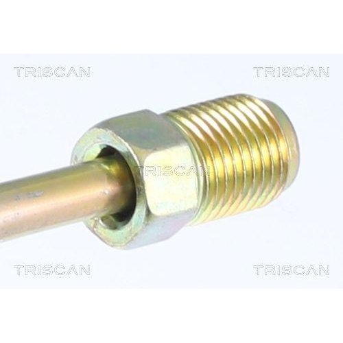 Bremsschlauch TRISCAN 8150 29268 f&uuml;r AUDI SEAT SKODA VW, Hinterachse, au&szlig;en