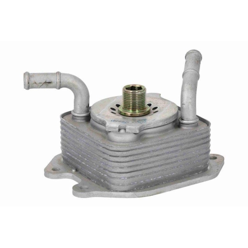 ACKOJA A38-60-0024 &Ouml;lk&uuml;hler, Motor&ouml;l Original ACKOJA Qualit&auml;t f&uuml;r INFINITI