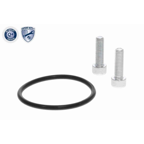 Stellelement, Feststellbremse Bremssattel VEMO V10-77-1060_N EXPERT KITS + f&uuml;r