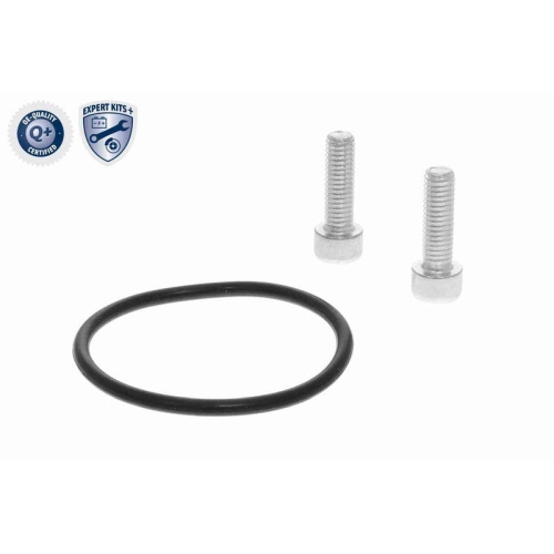 Stellelement, Feststellbremse Bremssattel VEMO V10-77-1061_N EXPERT KITS + f&uuml;r