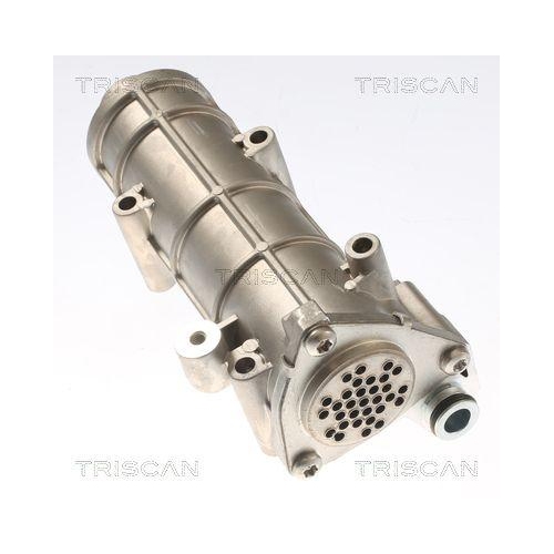 K&uuml;hler, Abgasr&uuml;ckf&uuml;hrung TRISCAN 8813 10117 f&uuml;r CITRO&Euml;N IVECO PEUGEOT