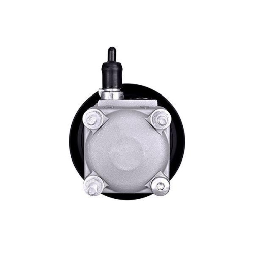 HELLA Hydraulikpumpe, Lenkung 8TL 359 003-001 f&uuml;r FORD VOLVO