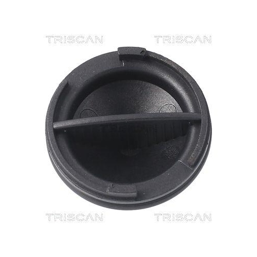 Verschlussschraube, Ölwanne TRISCAN 9500 1023 für CITROËN FORD OPEL PEUGEOT