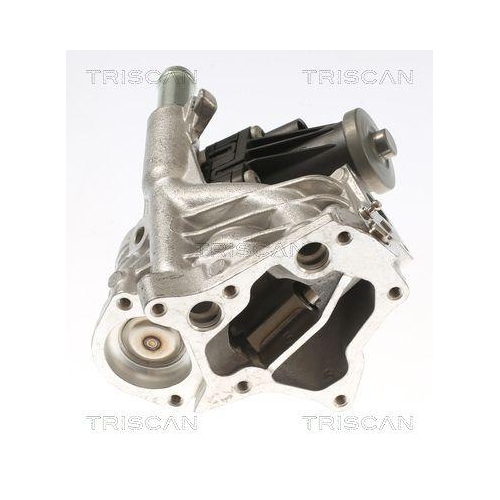 AGR-Ventil TRISCAN 8813 10118 für JAGUAR LAND ROVER, links