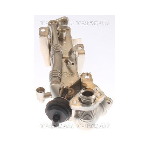 K&uuml;hler, Abgasr&uuml;ckf&uuml;hrung TRISCAN 8813 11021 f&uuml;r BMW HITACHI