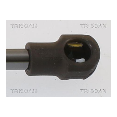 Gasfeder, Koffer-/Laderaum TRISCAN 8710 112017 f&uuml;r BMW, hinten links