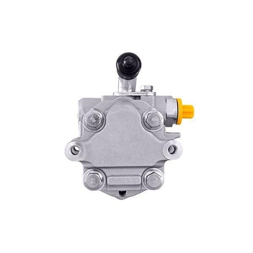 HELLA Hydraulikpumpe, Lenkung 8TL 359 003-031 f&uuml;r VW