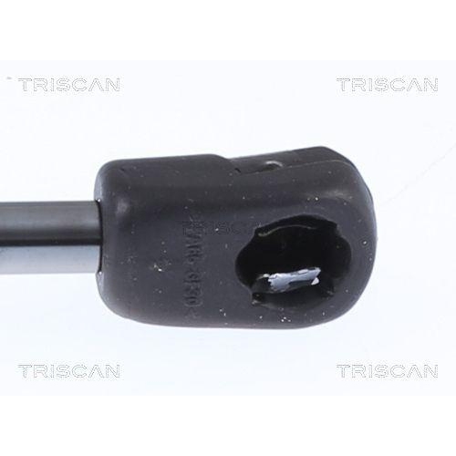 Gasfeder, Koffer-/Laderaum TRISCAN 8710 24291 f&uuml;r OPEL PEUGEOT VAUXHALL