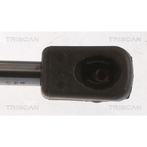 Gasfeder, Koffer-/Laderaum TRISCAN 8710 112018 f&uuml;r MINI, hinten links