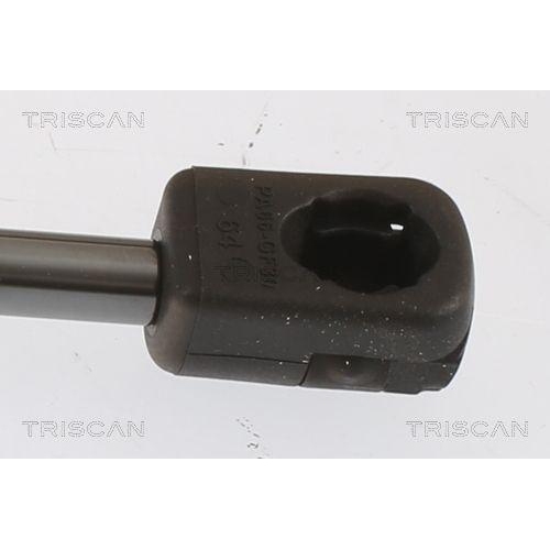 Gasfeder, Koffer-/Laderaum TRISCAN 8710 112019 f&uuml;r MINI, hinten links