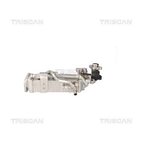 K&uuml;hler, Abgasr&uuml;ckf&uuml;hrung TRISCAN 8813 11024 f&uuml;r BMW