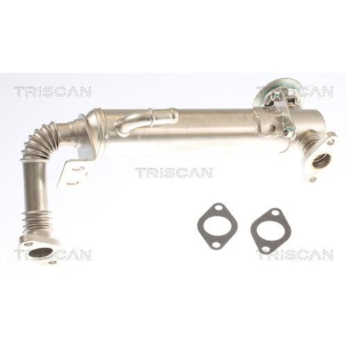 K&uuml;hler, Abgasr&uuml;ckf&uuml;hrung TRISCAN 8813 15075 f&uuml;r FIAT