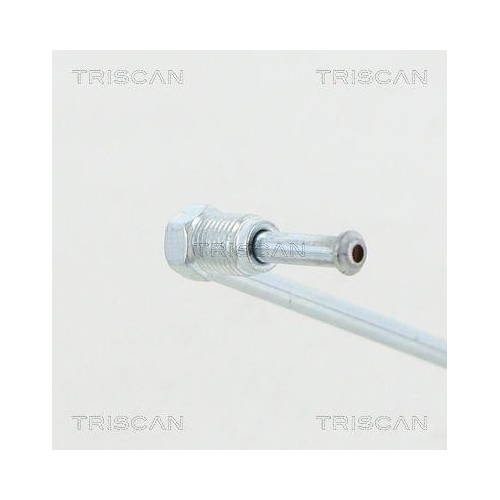 Bremsschlauch TRISCAN 8150 29289 f&uuml;r AUDI SEAT SKODA VW, Hinterachse, au&szlig;en