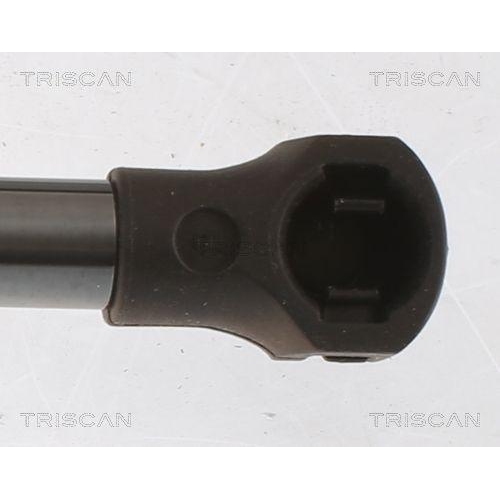Gasfeder, Koffer-/Laderaum TRISCAN 8710 25279 für RENAULT, hinten links