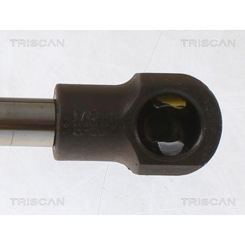 Gasfeder, Koffer-/Laderaum TRISCAN 8710 25280 f&uuml;r RENAULT, hinten links
