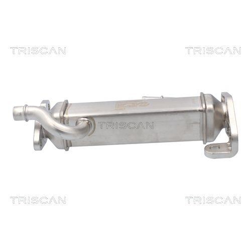 Kühler, Abgasrückführung TRISCAN 8813 15080 für IVECO