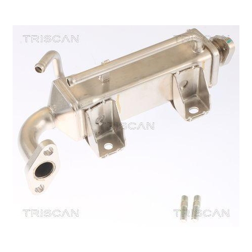 K&uuml;hler, Abgasr&uuml;ckf&uuml;hrung TRISCAN 8813 16072 f&uuml;r FORD USA