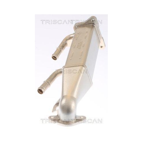 K&uuml;hler, Abgasr&uuml;ckf&uuml;hrung TRISCAN 8813 16073 f&uuml;r FORD HITACHI LAND ROVER