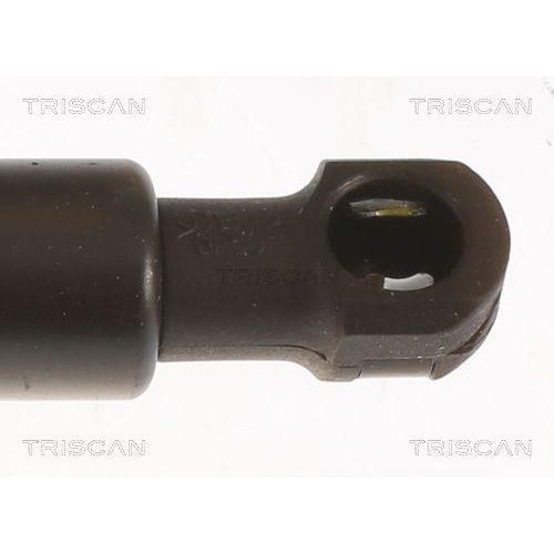Gasfeder, Koffer-/Laderaum TRISCAN 8710 25283 für RENAULT, hinten links