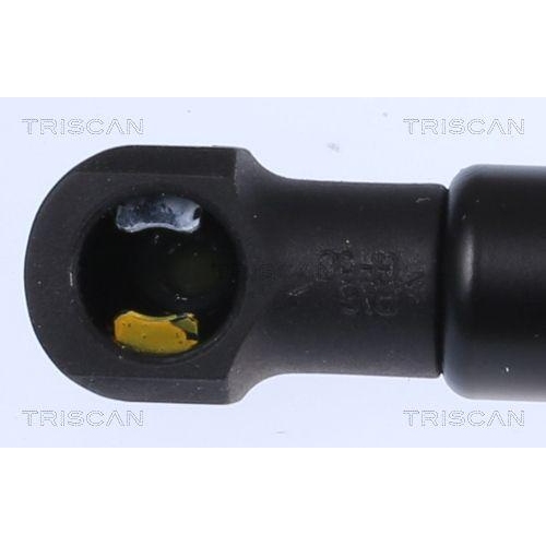 Gasfeder, Koffer-/Laderaum TRISCAN 8710 292055 für AUDI, hinten links