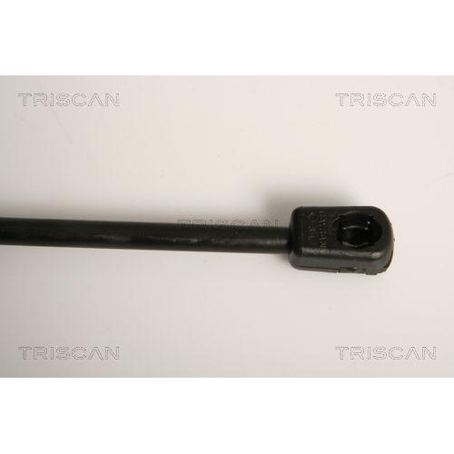 Gasfeder, Koffer-/Laderaum TRISCAN 8710 11211 f&uuml;r BMW