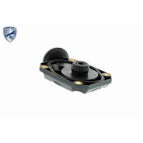 Ventil, Kurbelgehäuseentlüftung VAICO V20-1512 EXPERT KITS + für BMW, rechts