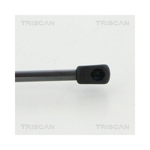 Gasfeder, Koffer-/Laderaum TRISCAN 8710 23250 für MERCEDES-BENZ, hinten links