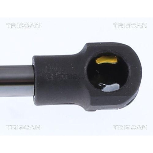 Gasfeder, Koffer-/Laderaum TRISCAN 8710 292058 f&uuml;r AUDI, hinten links